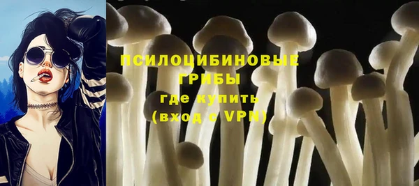 тгк Иннополис