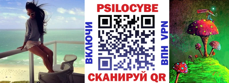 Псилоцибиновые грибы прущие грибы  блэк спрут маркетплейс  Ахтубинск 