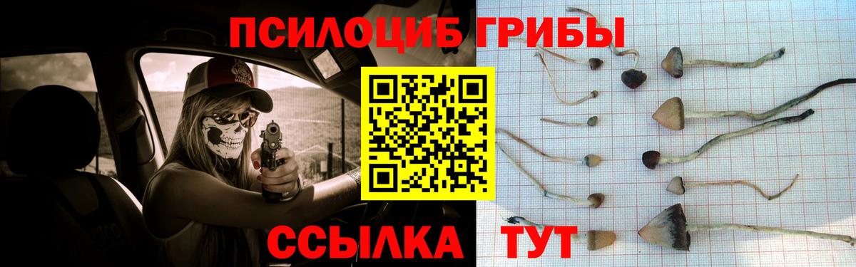 Галлюциногенные грибы Psilocybine cubensis  Псилоцибиновые грибы Psilocybine cubensis  Вход с VPN  Ахтубинск 